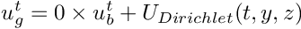 \[u_g^t = 0 \times u_b^t + U_{Dirichlet}(t, y, z)\]